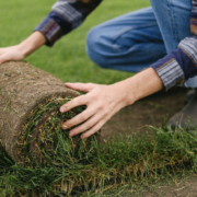 Using a dumpster rental for DIY Landscape Projects in Phoenix